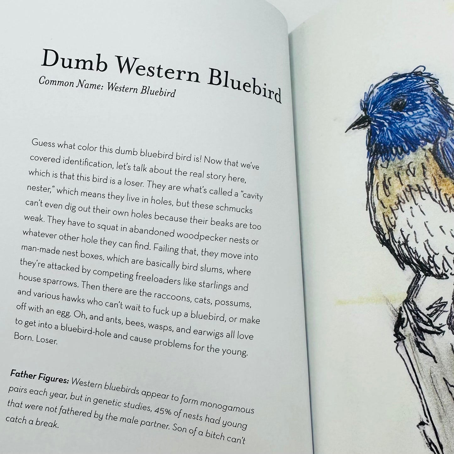 The Field Guide to Dumb Birds of North America