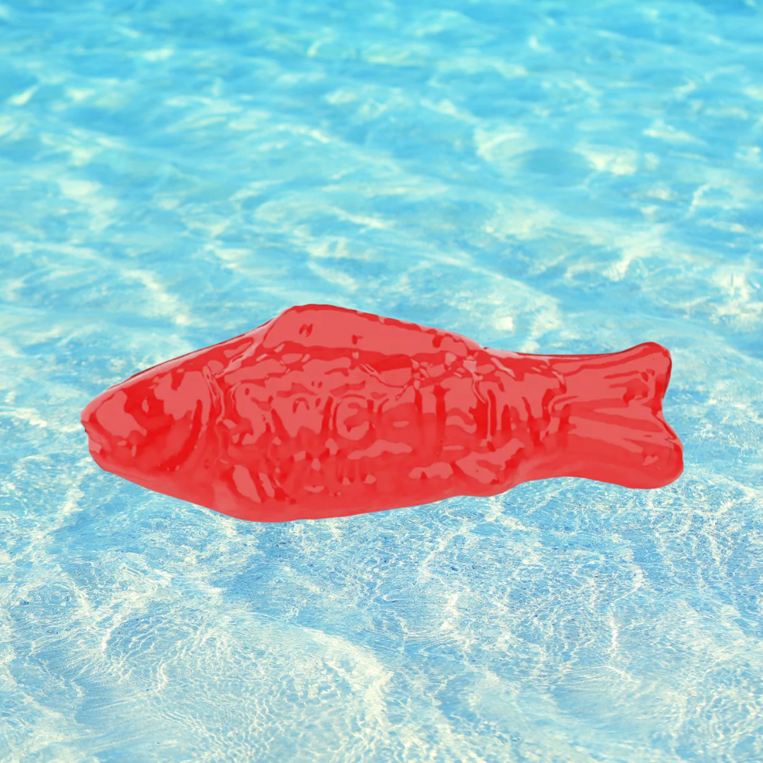 Swedish Fish Squishy Toy